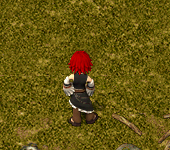 Vl LV11`_